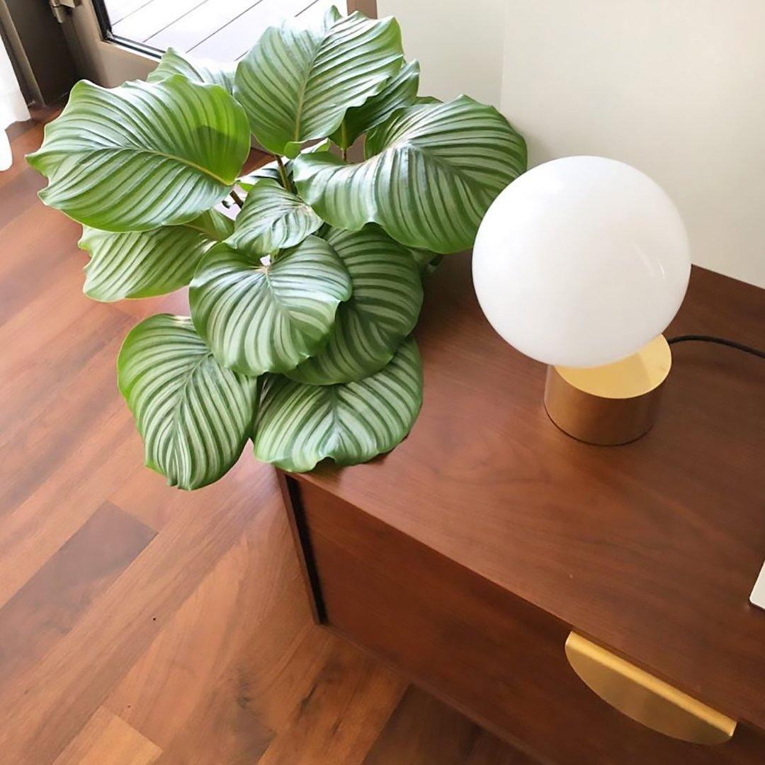 Eiraella Lampe de Table Industrielle en Verre