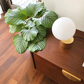 Eiraella Lampe de Table Industrielle en Verre