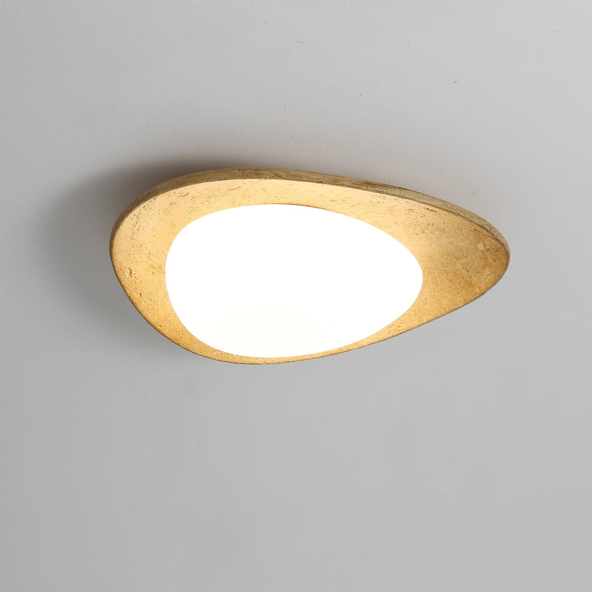 Detail of the fixture's edge and mounting plate.