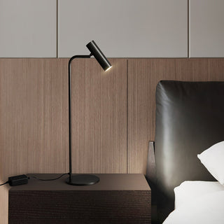 Briona Lampe de Table Industrielle en Laiton