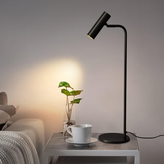 Briona Lampe de Table Industrielle en Laiton