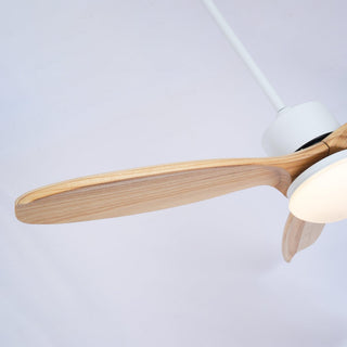 Ventilateur de Plafond Luminaire Brivel Élégance Naturelle