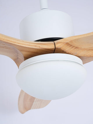 Ventilateur de Plafond Luminaire Brivel Élégance Naturelle