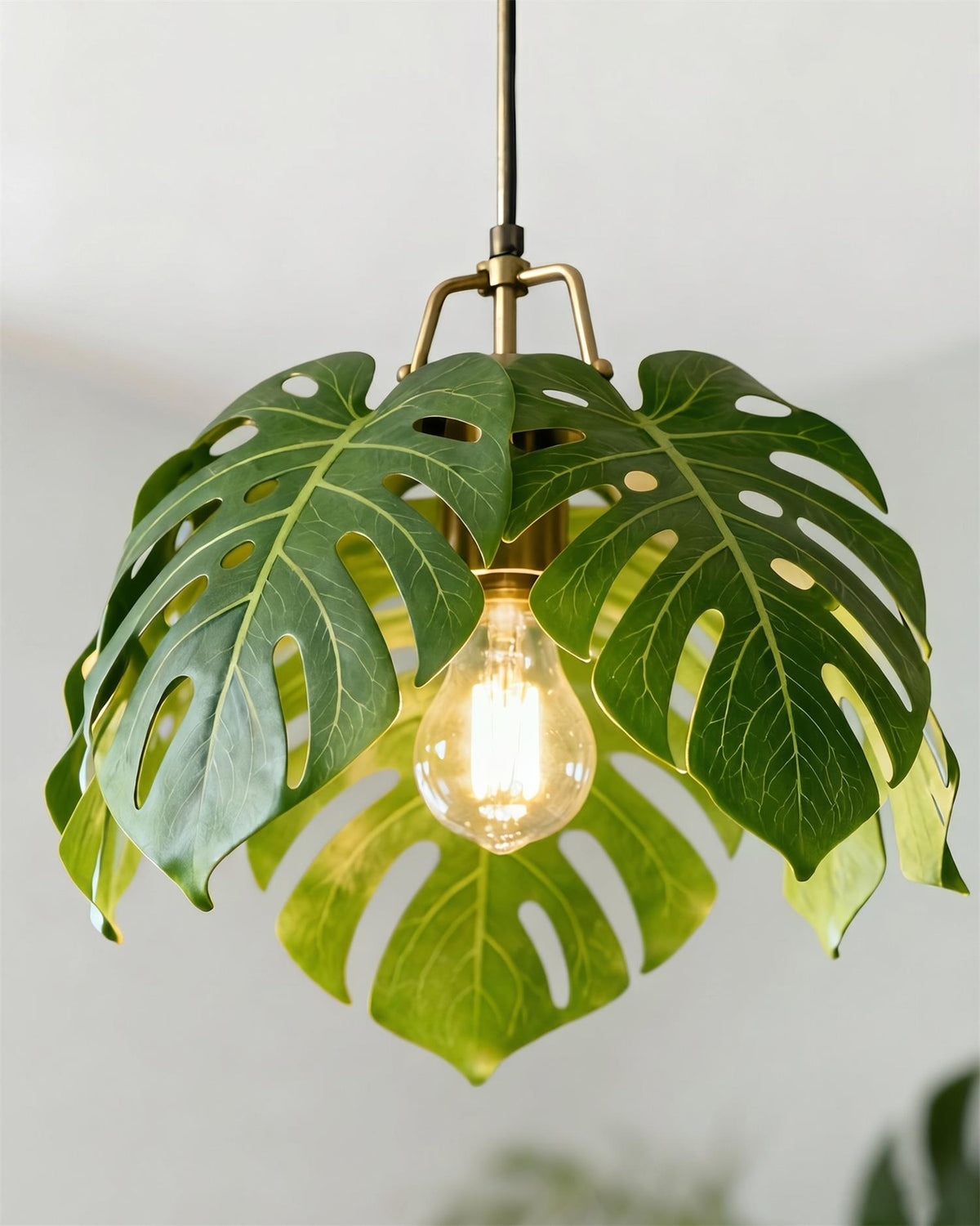 Miranelia Suspension