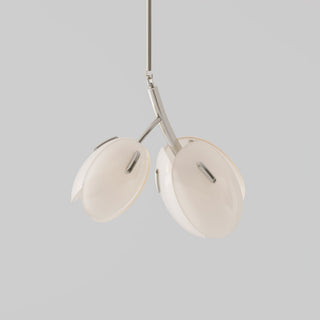 Blossom Lustre en Verre Contemporain