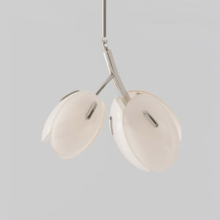 Blossom Lustre en Verre Contemporain