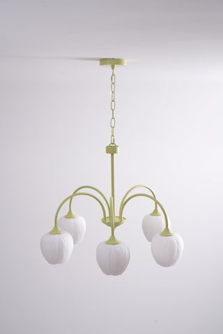 Lustra Lustre Tulipe en Verre Matcha