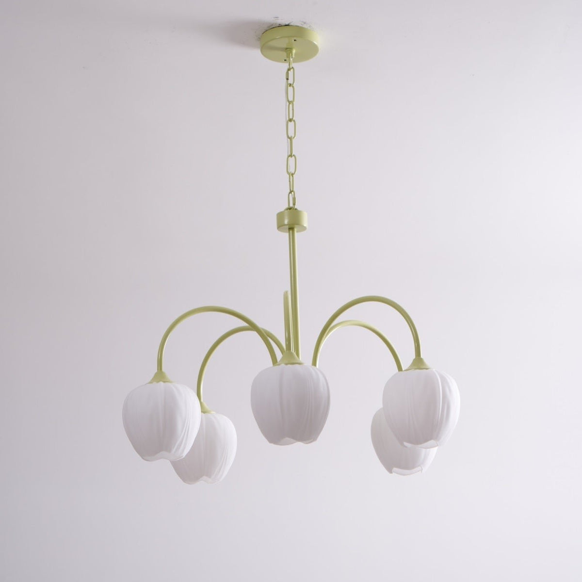 Dareya Lustre Tulipe en Verre Matcha