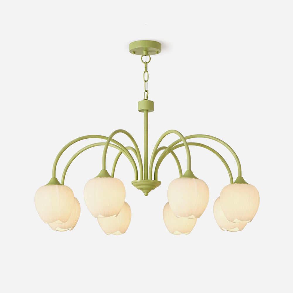 Miroeon Lustre Matcha