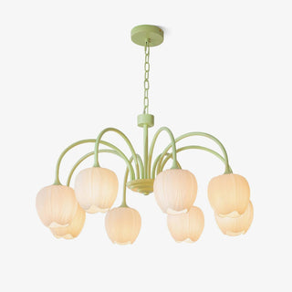 Tulip Lustres Rafraîchissants en Verre