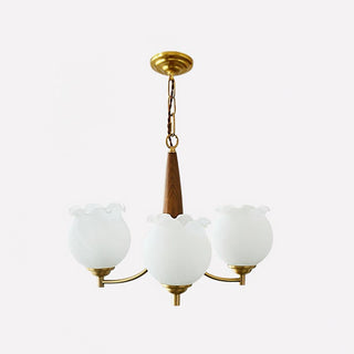 Lustra Lustre en Verre, Bois et Laiton Vintage