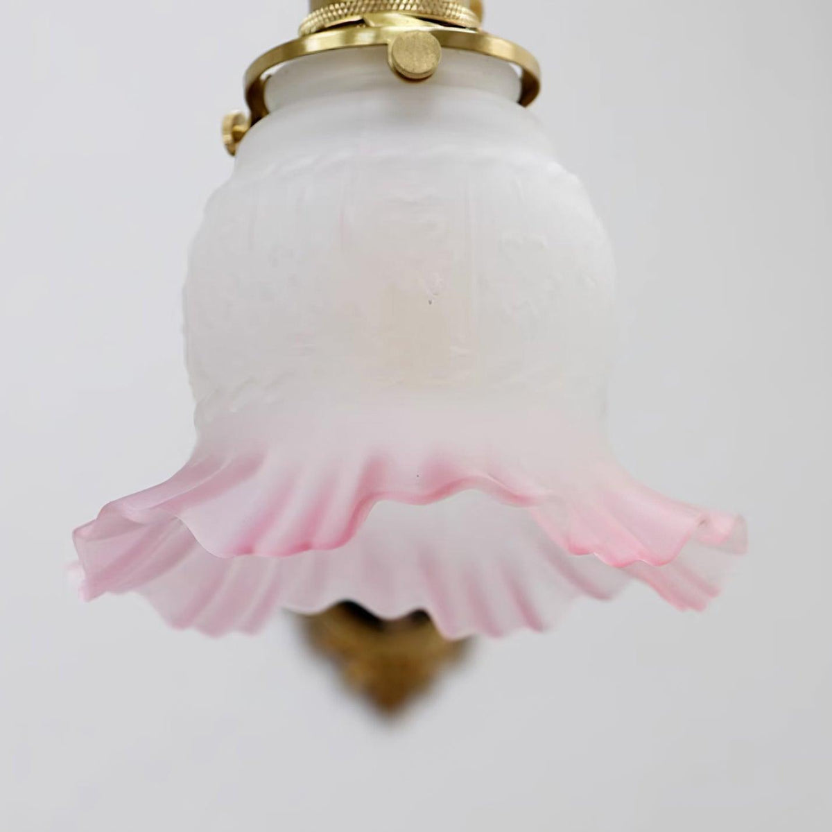 Frodia Suspension