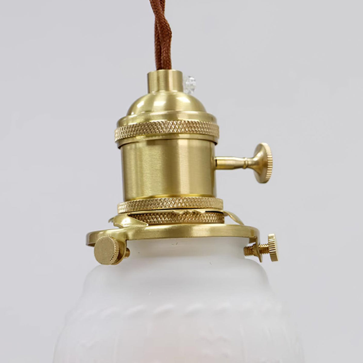 Frodia Suspension