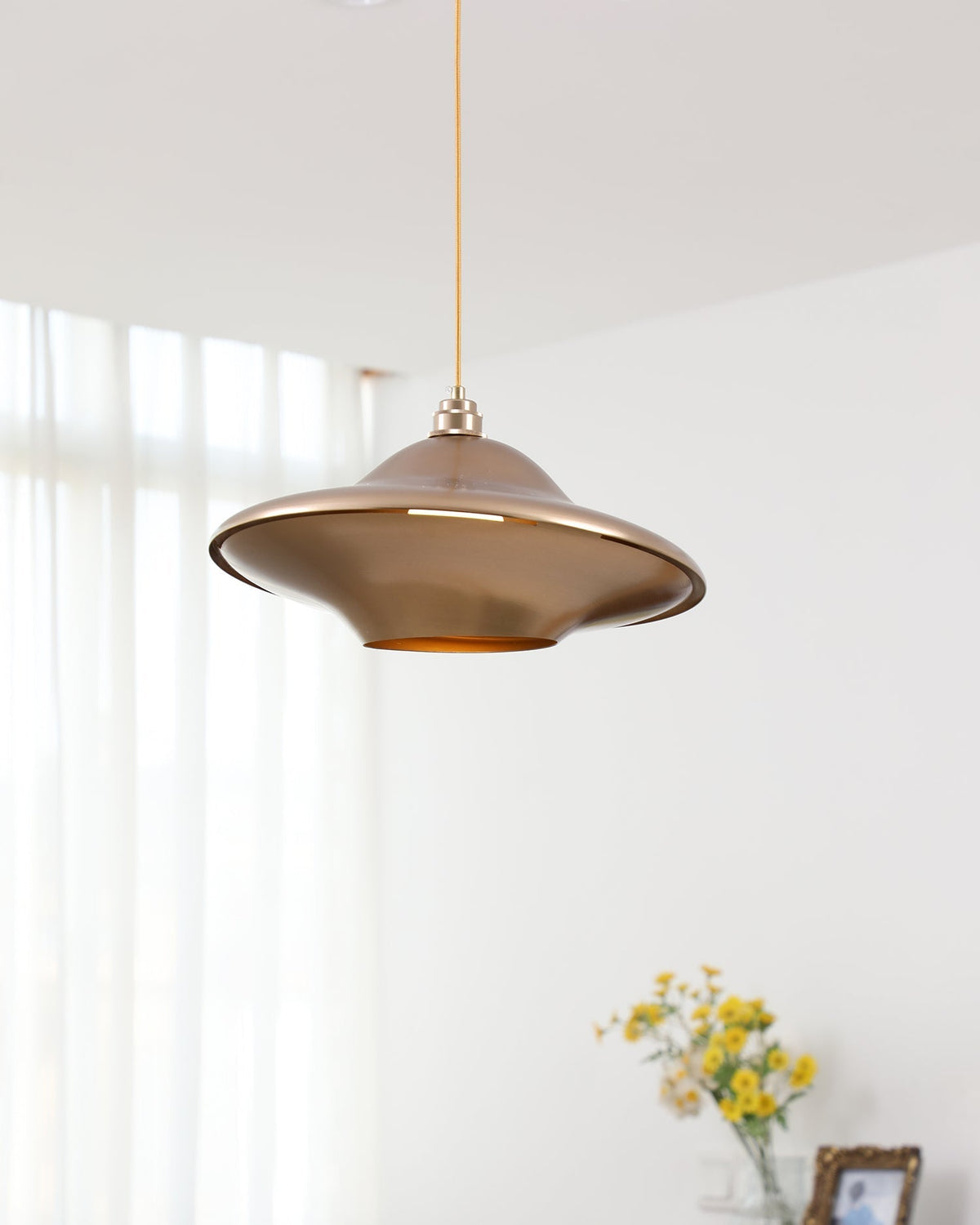 Lioriseria Suspension