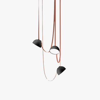 Nerithic Suspension Contemporaine-Luire