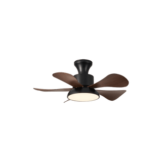 Ventilateur de Plafond Archer