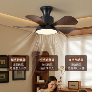 Ventilateur de Plafond Archer