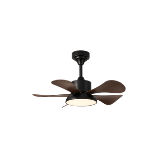 Ventilateur de Plafond Archer