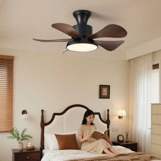 Ventilateur de Plafond Archer