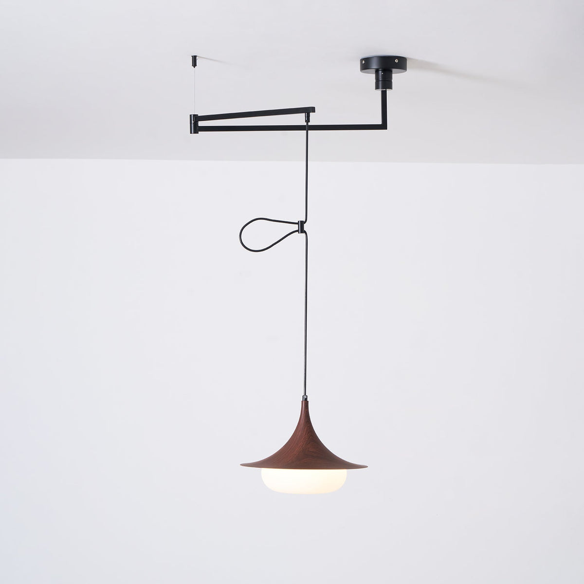 Selanenne Suspension