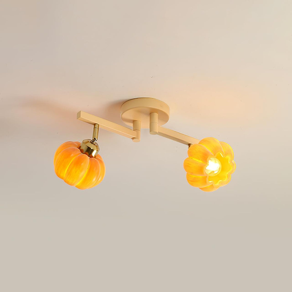 Sororeon Plafonnier