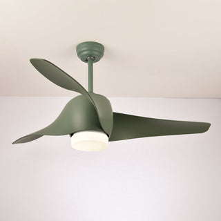 Ventilateur de plafond Umber avec lumière