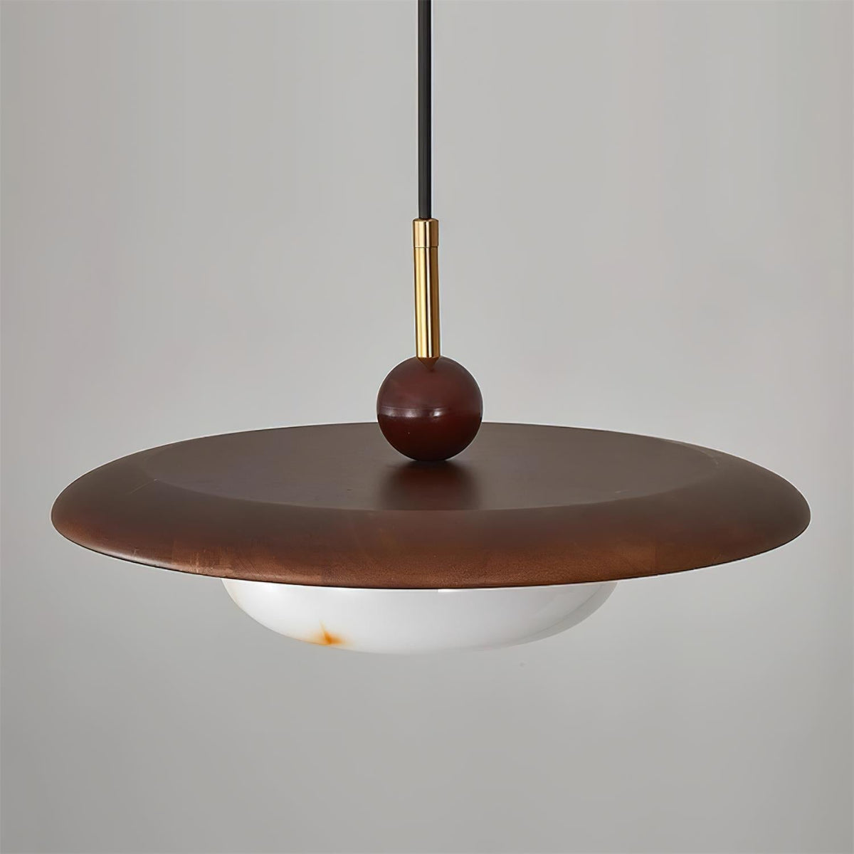 Viraeriella Suspension