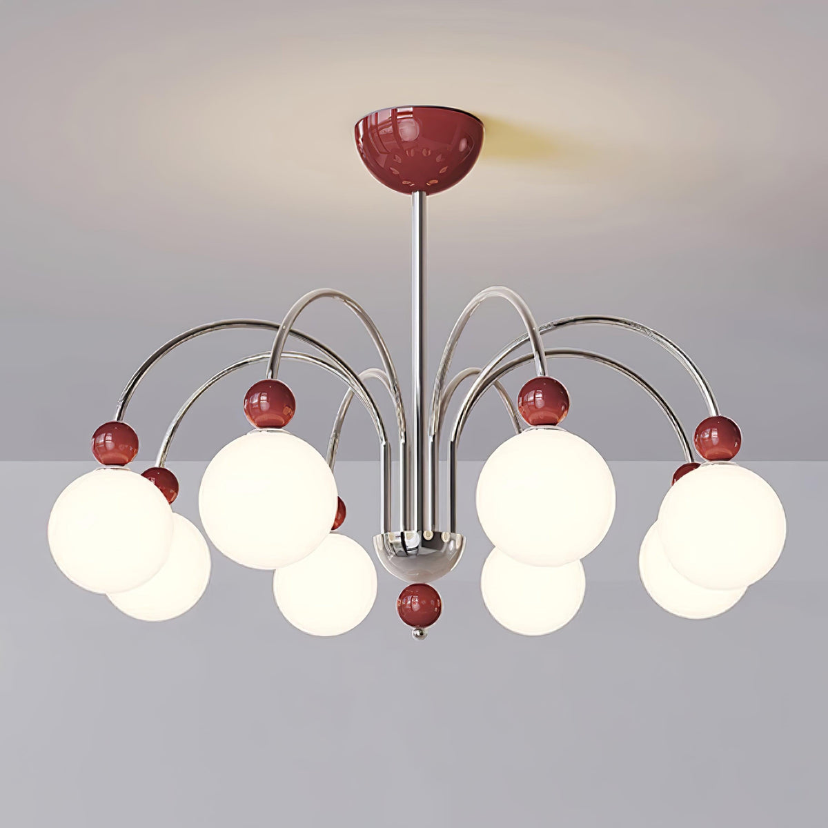 Cireraria Lustre
