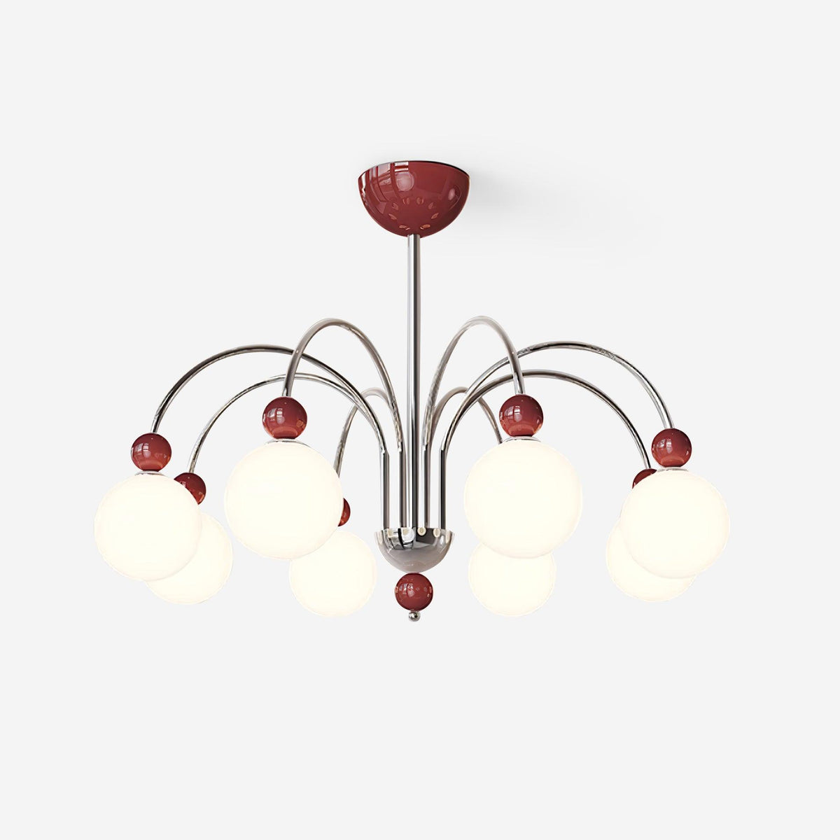 Cireraria Lustre