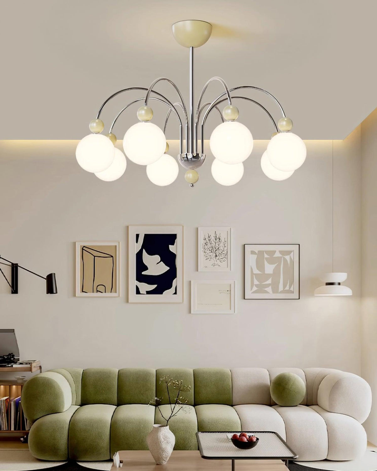 Cireraria Lustre