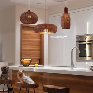Solvice Vintage Rotin Pendentif Lampe