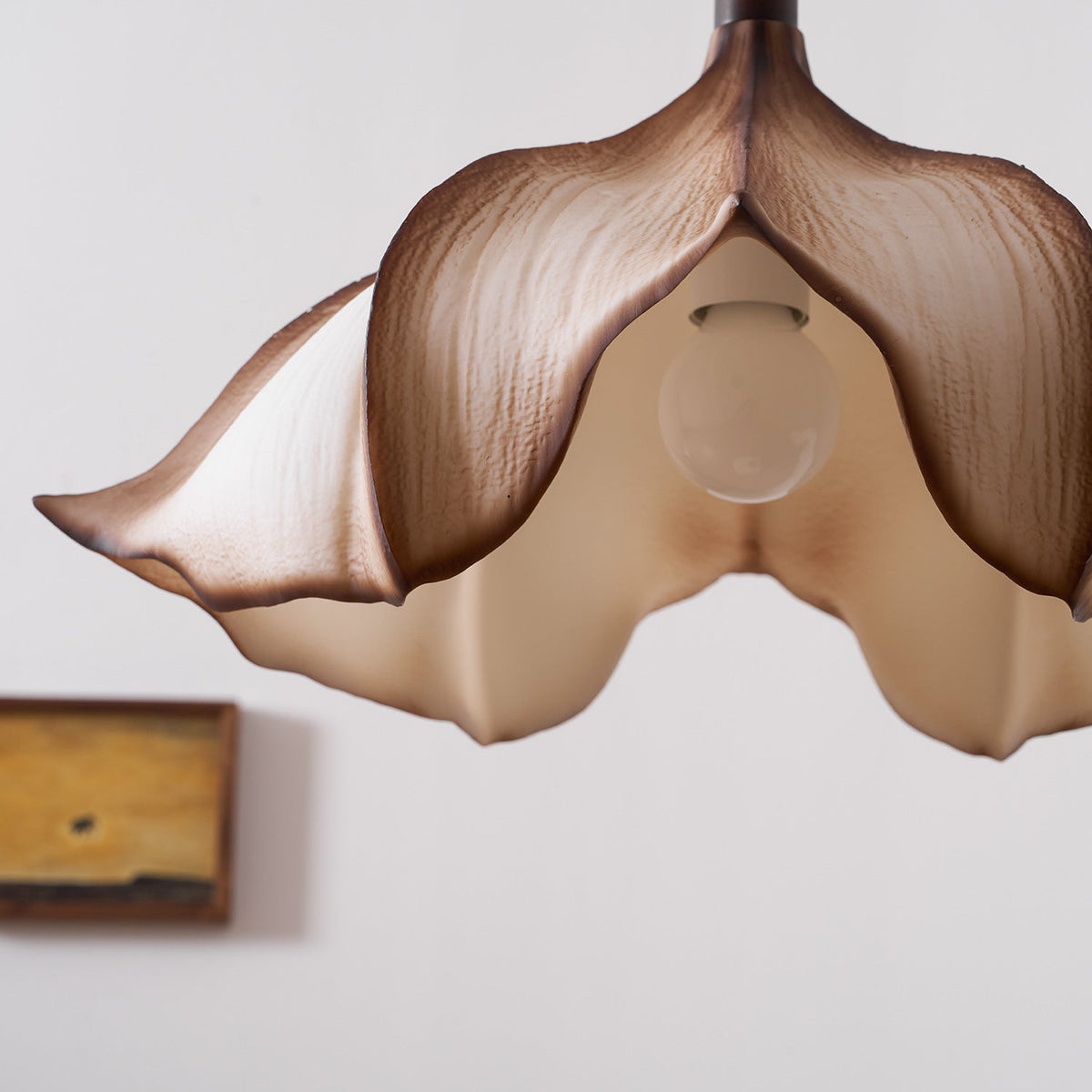 A pair of Viscontea pendants used as bedside lighting.