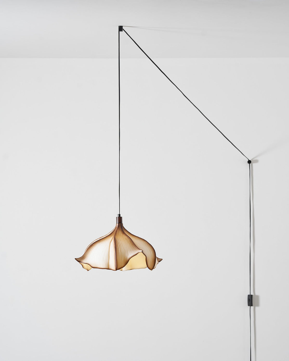 The light's texture and material detail in natural light.