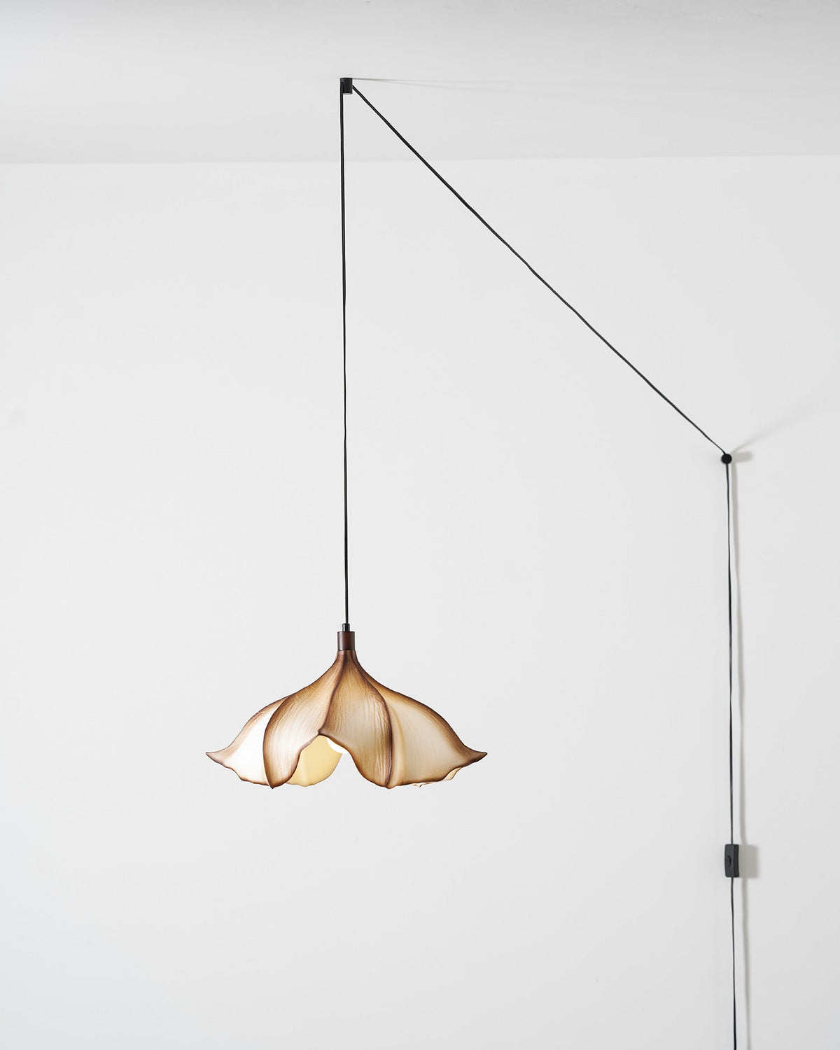 Viscontea swag light in a minimalist entryway.
