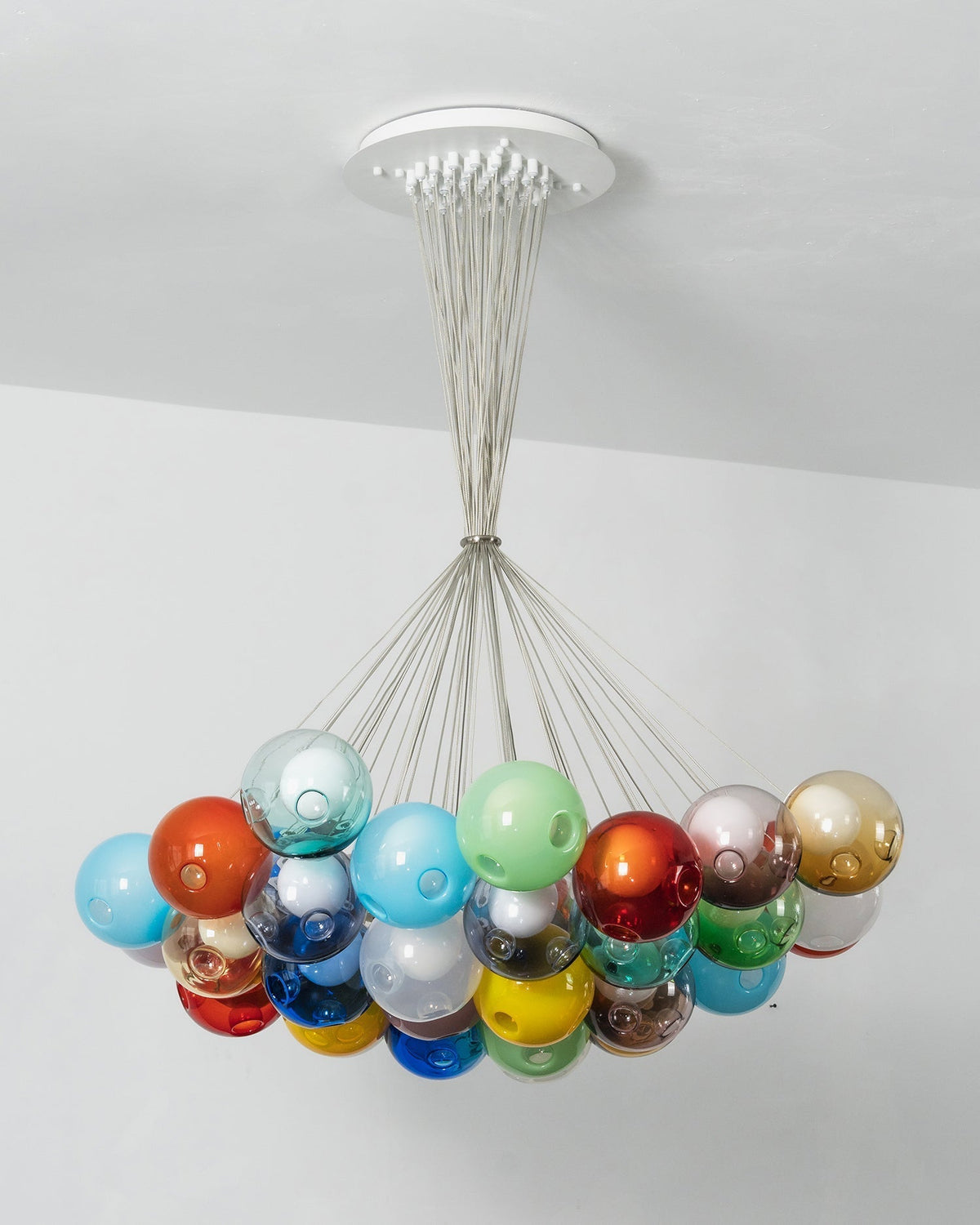 Calanthe Lustre
