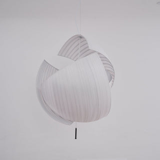 Orelarette Suspension