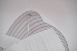 Orelarette Suspension
