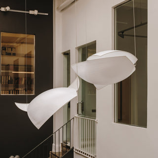 Orelarette Suspension