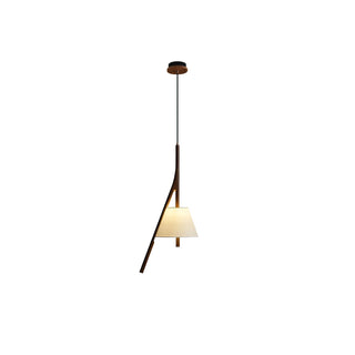 Zovenarae Triangulaire Bois Pendentif Lumière