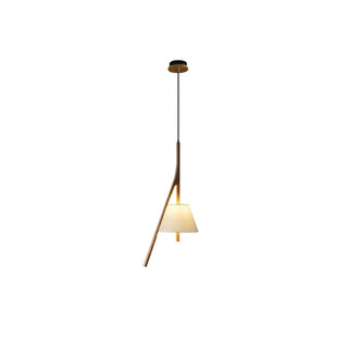 Zovenarae Triangulaire Bois Pendentif Lumière
