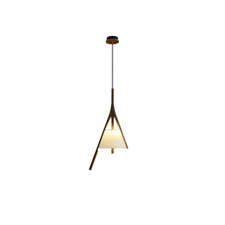 Zovenarae Triangulaire Bois Pendentif Lumière