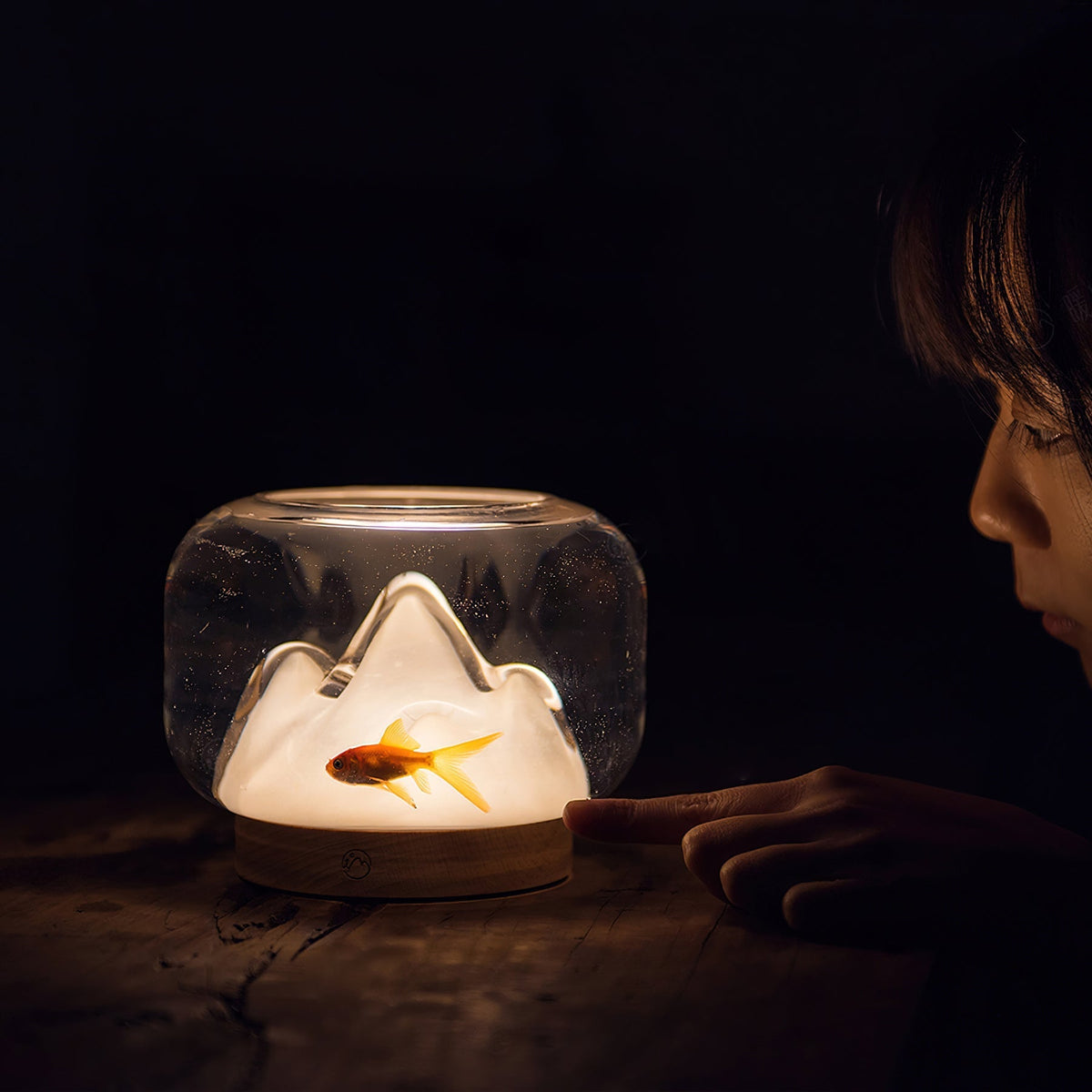 Alpine Lampe de Table