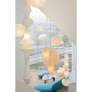 Oreliviella Suspension
