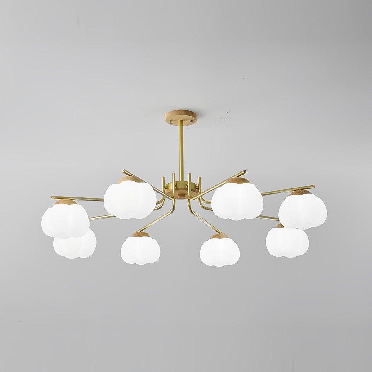 Cohen Lustre Moderne