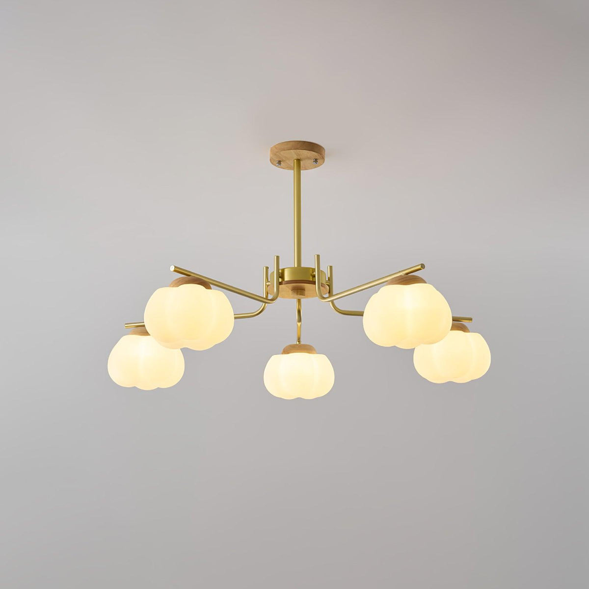 Cohen Lustre Moderne