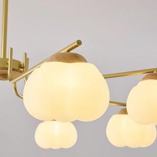 Cohen Lustre Moderne