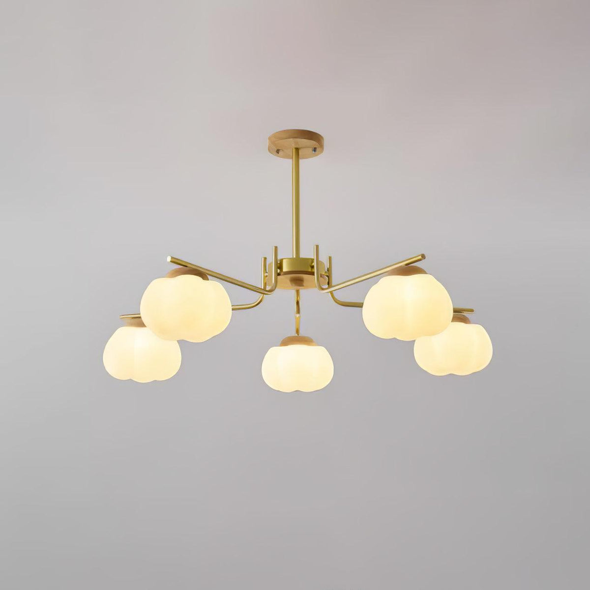 Cohen Lustre Moderne