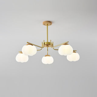 Cohen Lustre Moderne