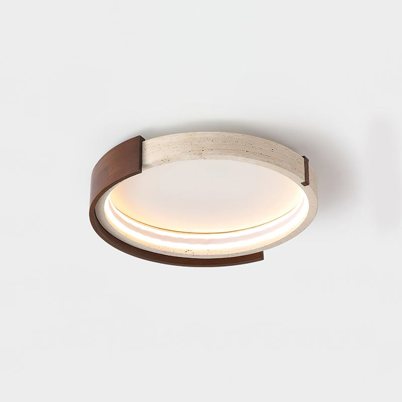 Zenova Ceiling Light shown in a commercial office space.