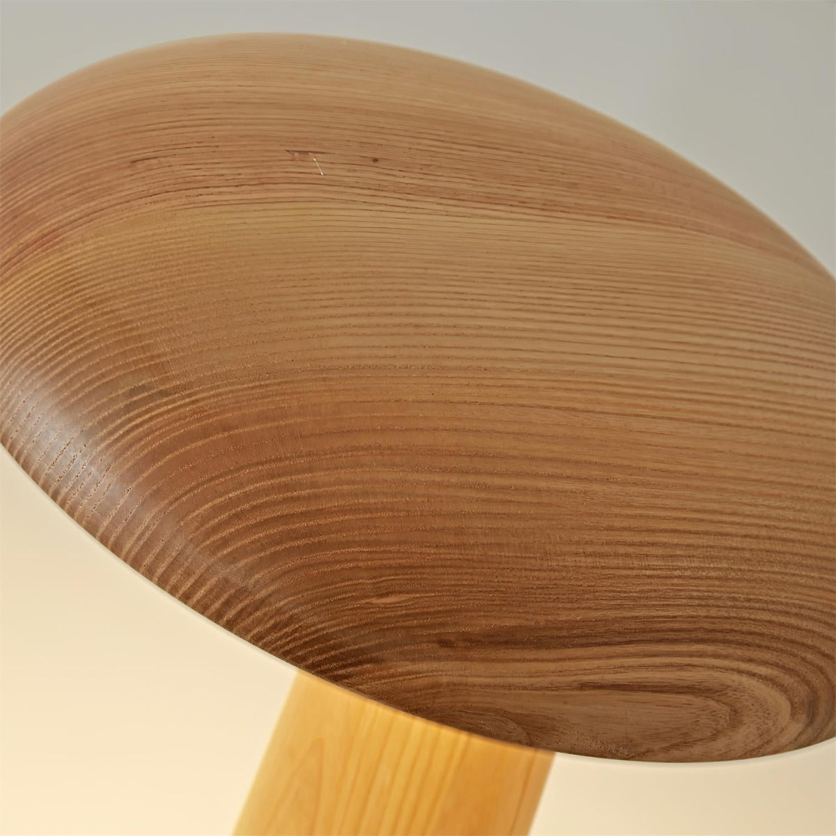Selelora Lampe de Table